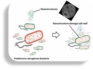 Antibacterial aerogel nanoparticles of Pseudomonas aeruginosa